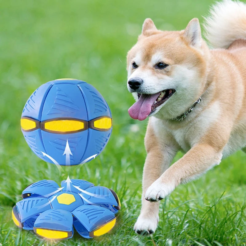 Dog Flying Saucer Ball