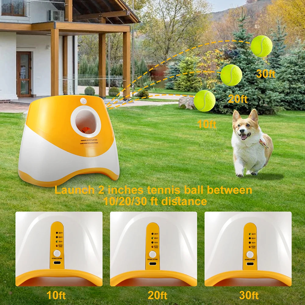 Automatic Tennis Thrower Dog Toy